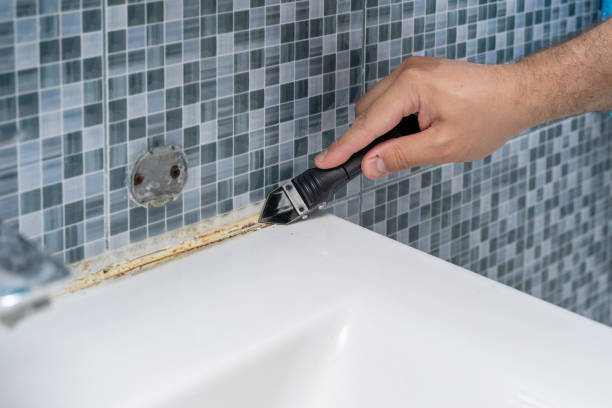 Best Fast Mold Removal  in Fillmore, UT
