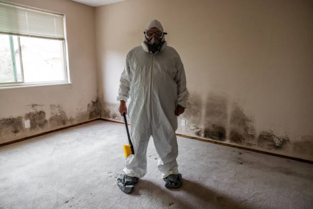 Mold Testing and Removal in Fillmore, UT